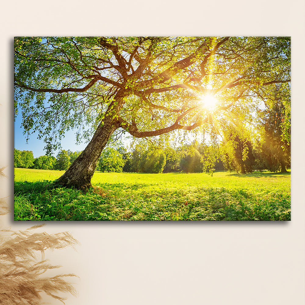 Tree foliage in morning light, Cavas Print Wall Art Hom Decor