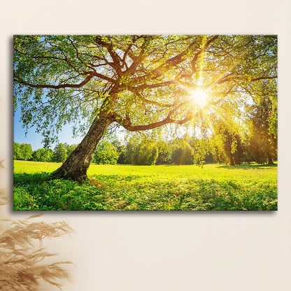 Tree foliage in morning light, Cavas Print Wall Art Hom Decor