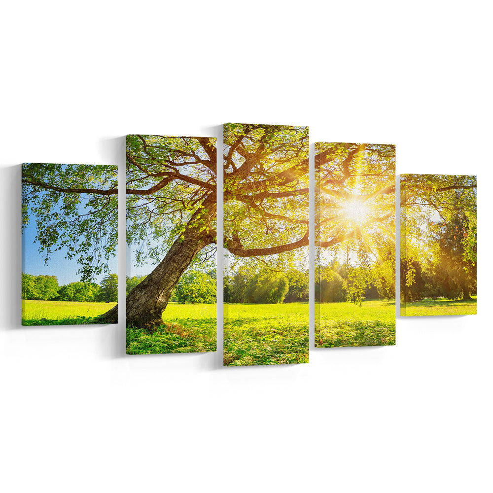 Tree foliage in morning light, 5 Piece Large Cavas Print Wall Art