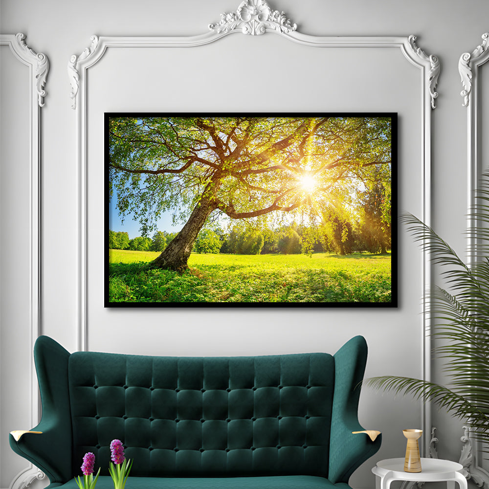 Tree Foliage In Morning Light, Framed Art Print, Picture Framed