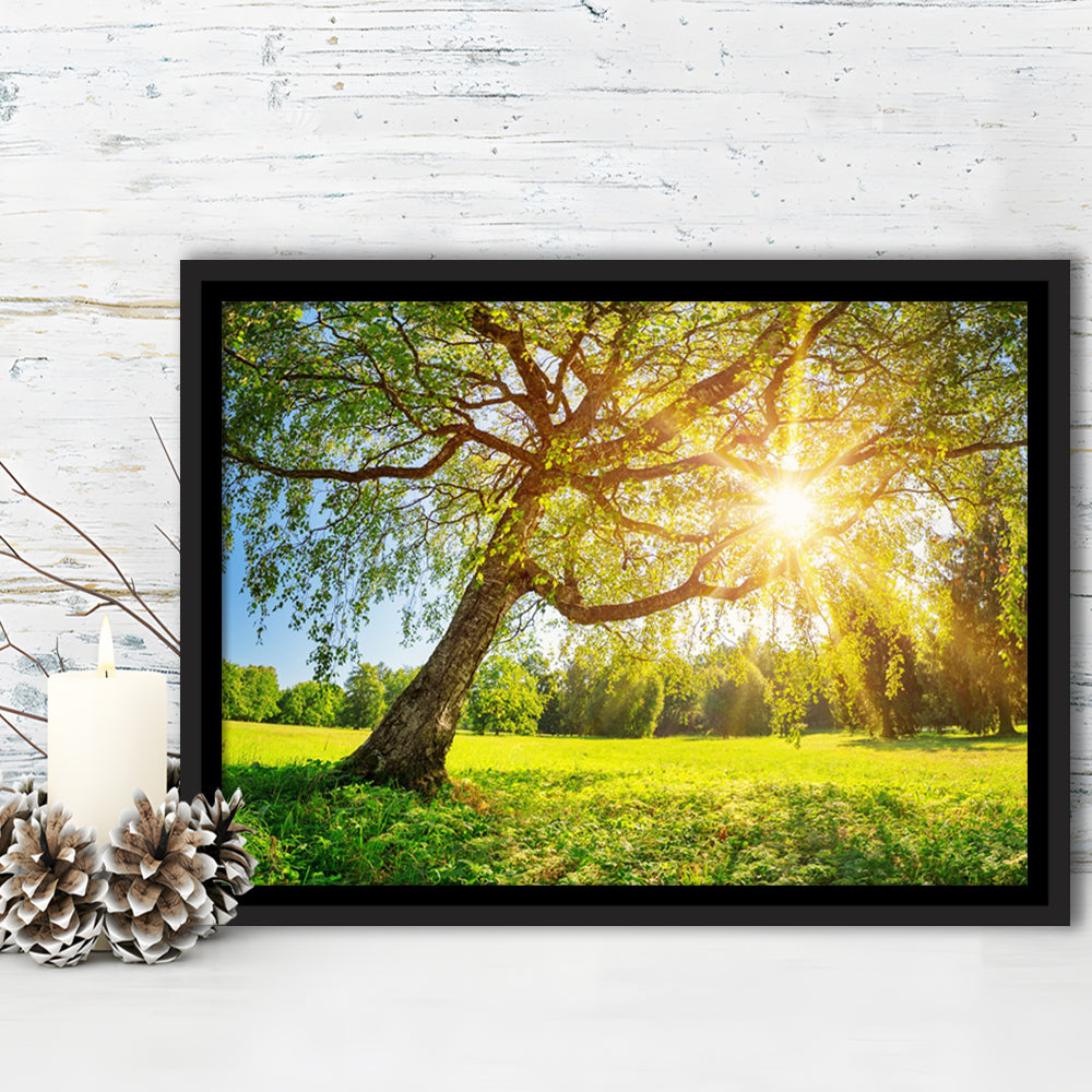 Tree Foliage In Morning Light, Framed Cavas Print, Floating Frame