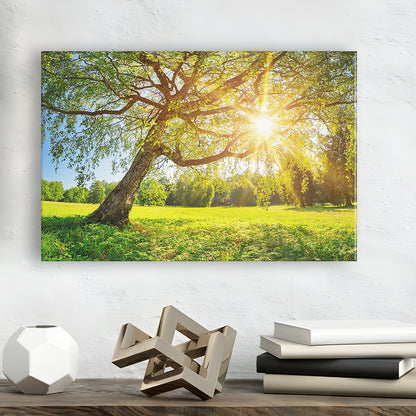 Tree foliage in morning light, Cavas Print Wall Art Hom Decor