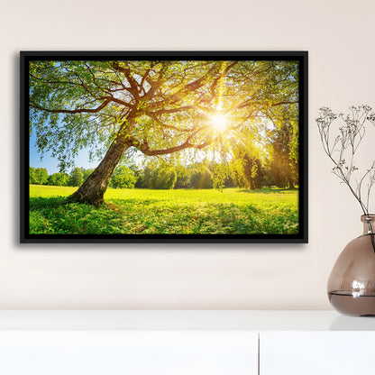 Tree Foliage In Morning Light, Framed Cavas Print, Floating Frame
