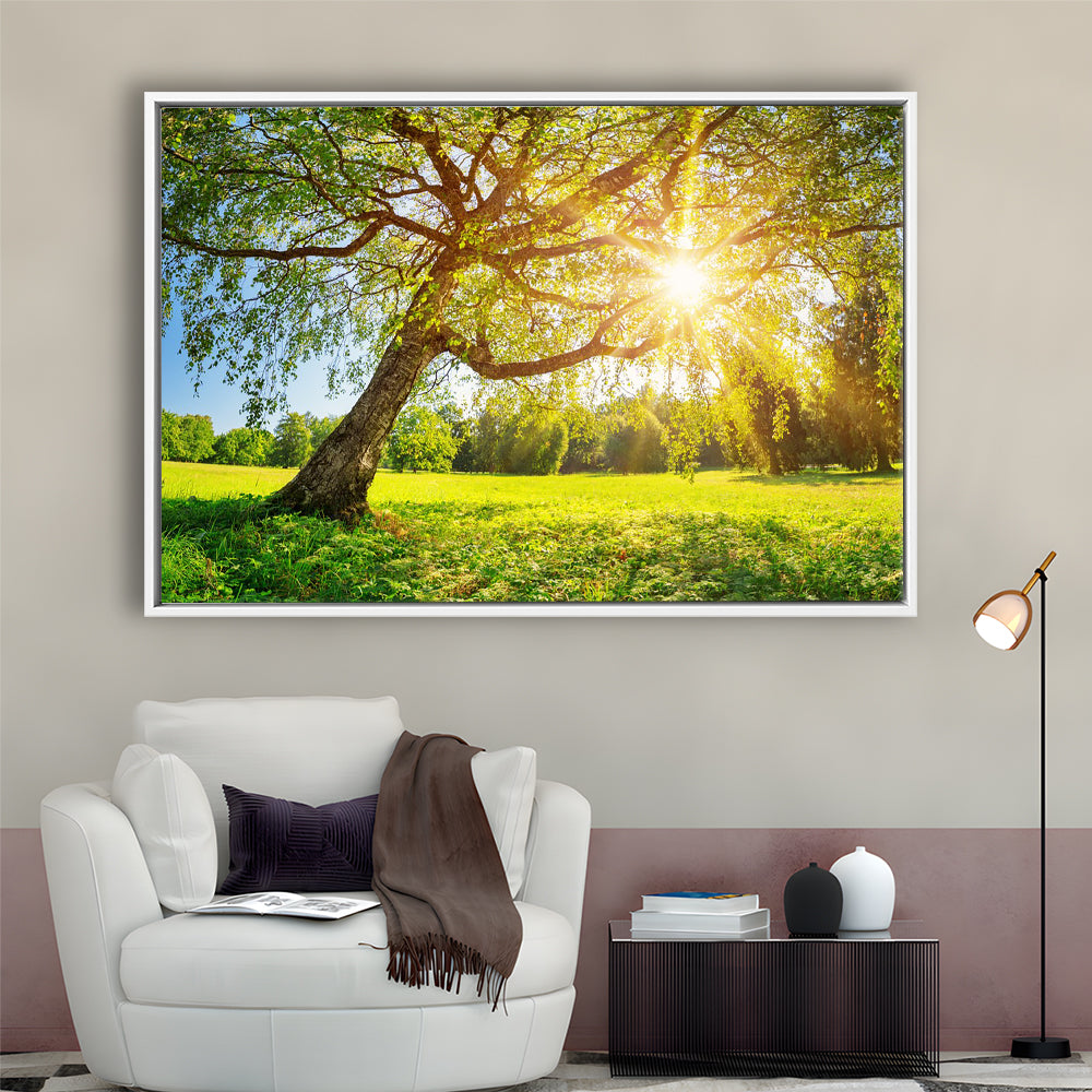 Tree Foliage In Morning Light, Framed Cavas Print, Floating Frame