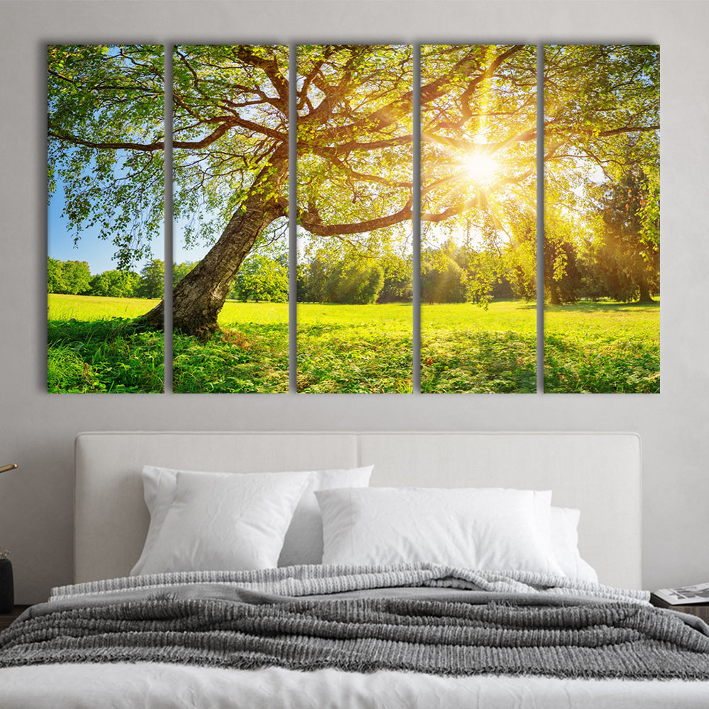 Tree foliage in morning light, 5 Piece B Extra Large Cavas Print Wall Art Decor