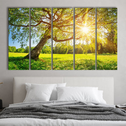 Tree foliage in morning light, 5 Piece B Extra Large Cavas Print Wall Art Decor