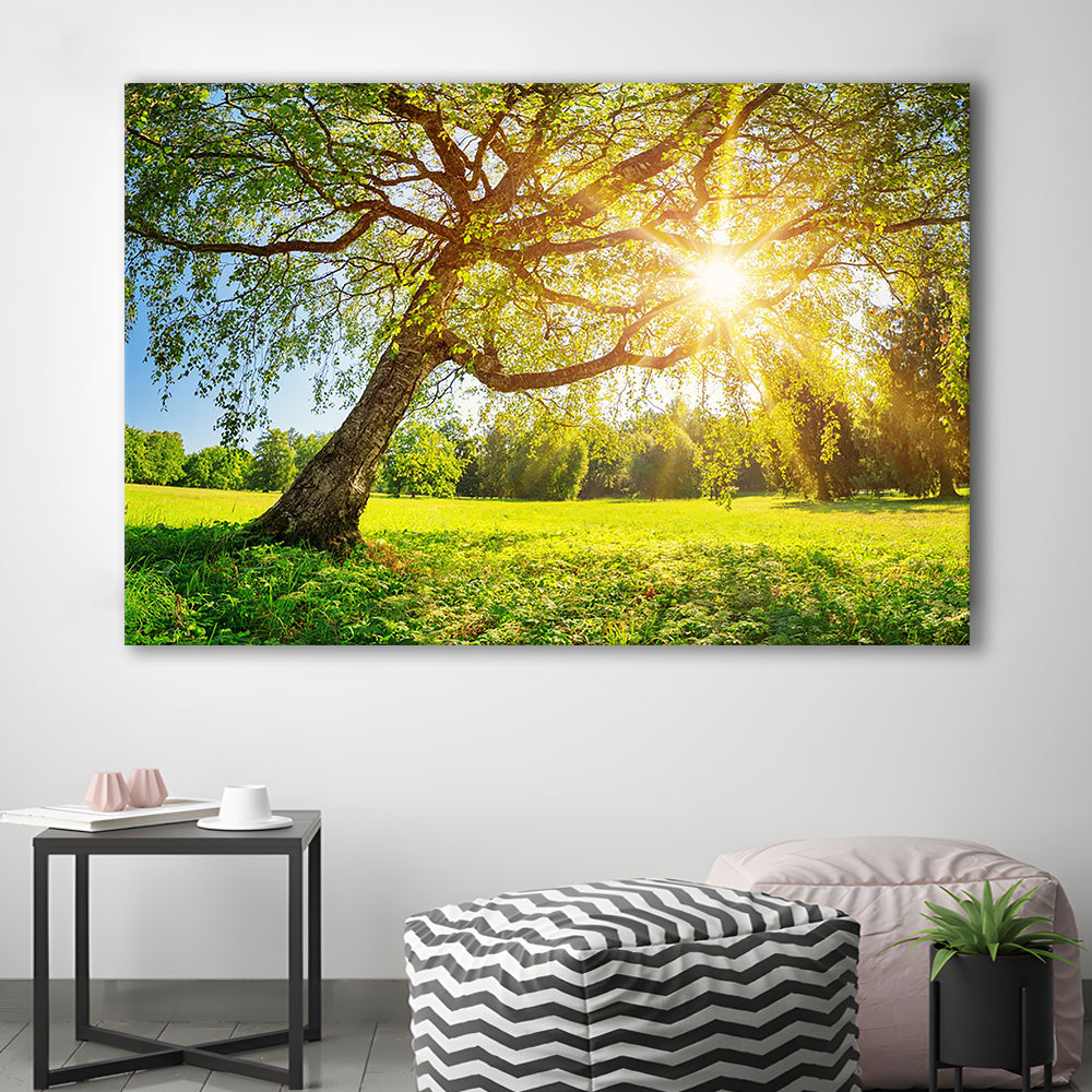 Tree foliage in morning light, Cavas Print Wall Art Hom Decor