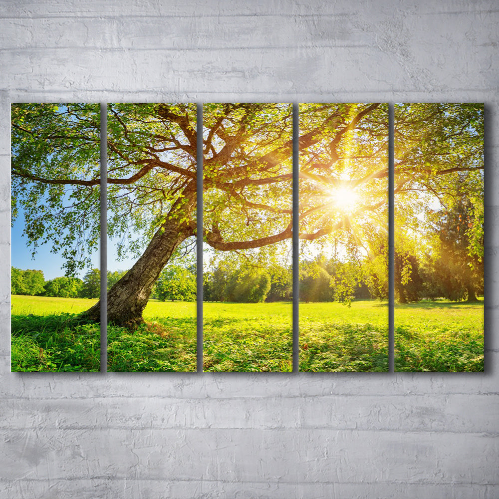 Tree foliage in morning light, 5 Piece B Extra Large Cavas Print Wall Art Decor