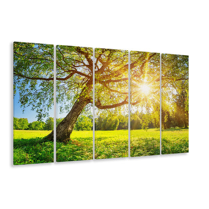 Tree foliage in morning light, 5 Piece B Extra Large Cavas Print Wall Art Decor