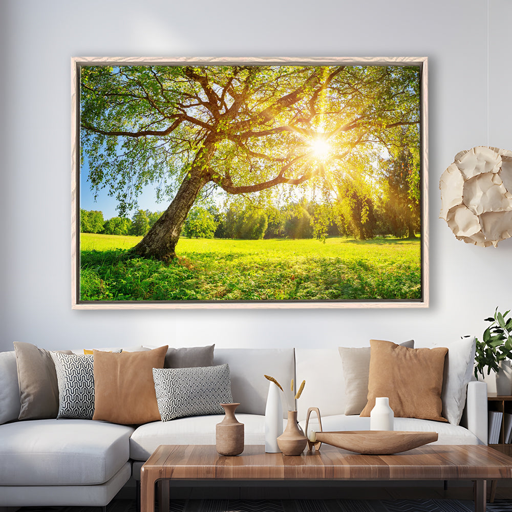 Tree Foliage In Morning Light, Framed Cavas Print, Floating Frame