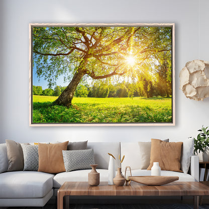 Tree Foliage In Morning Light, Framed Cavas Print, Floating Frame