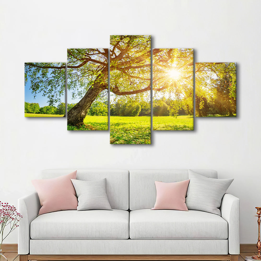 Tree foliage in morning light, 5 Piece Large Cavas Print Wall Art
