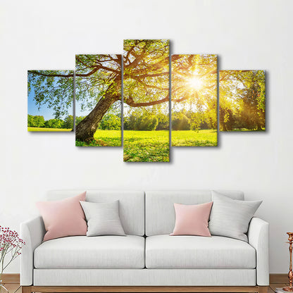 Tree foliage in morning light, 5 Piece Large Cavas Print Wall Art
