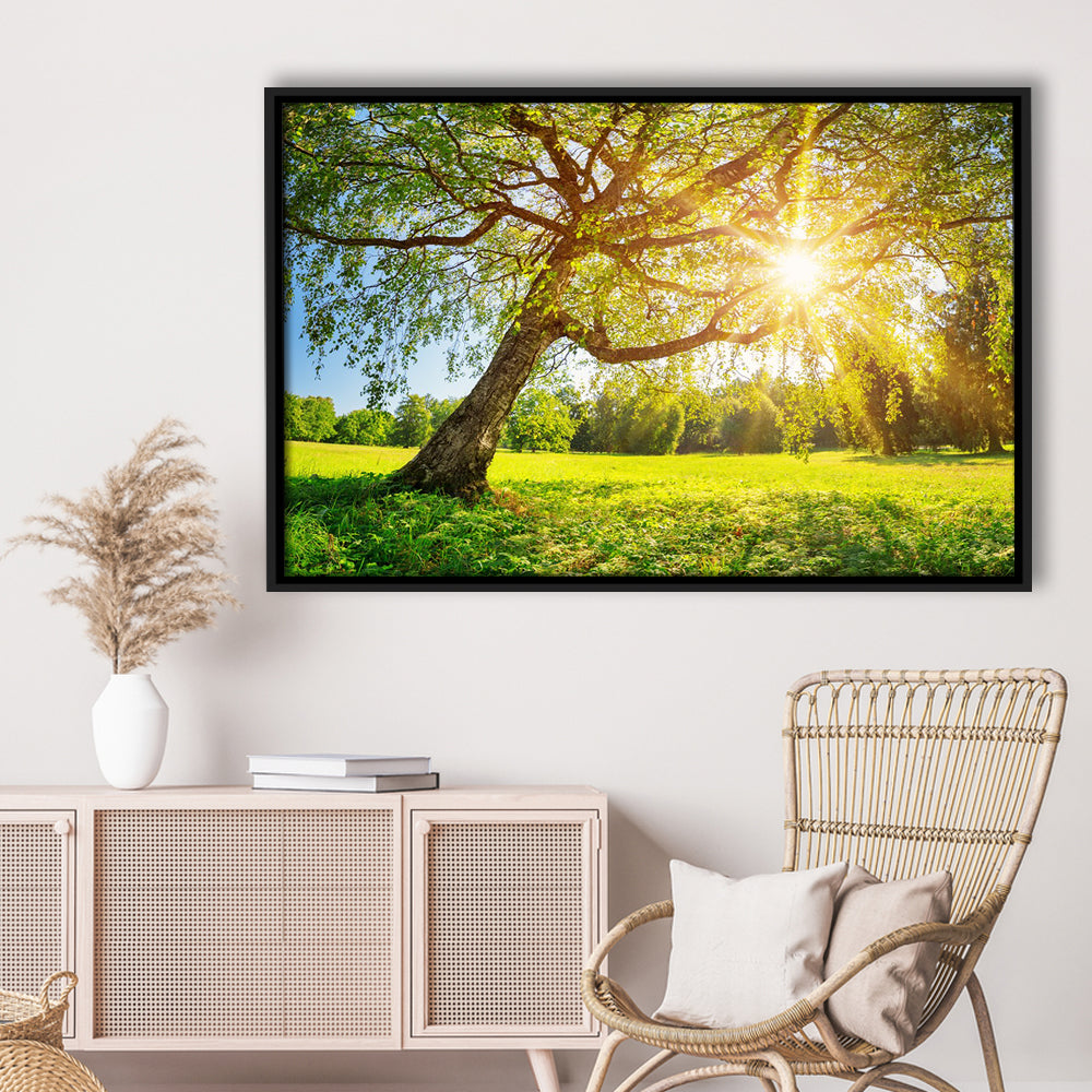 Tree Foliage In Morning Light, Framed Cavas Print, Floating Frame
