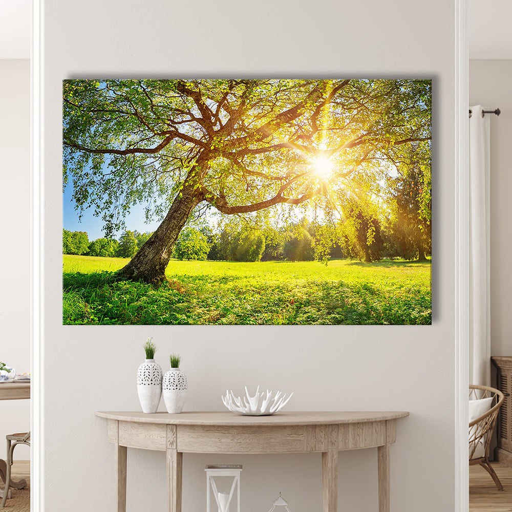 Tree foliage in morning light, Cavas Print Wall Art Hom Decor