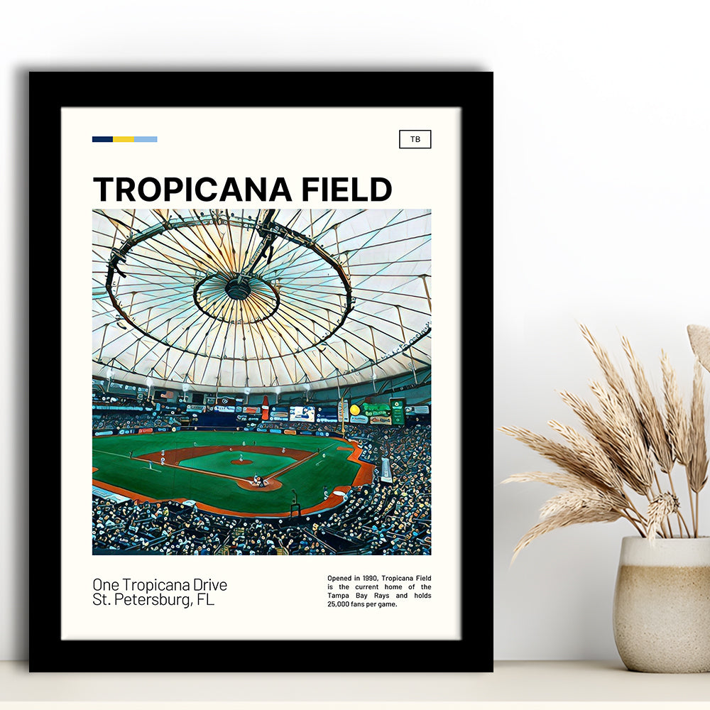 Tropicana Field Print, Tampa Bay Rays Stadium Art, Gifts for him, Sport Art, Framed Art Print Wall Decor