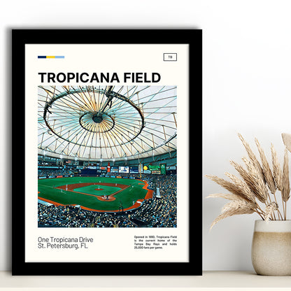 Tropicana Field Print, Tampa Bay Rays Stadium Art, Gifts for him, Sport Art, Framed Art Print Wall Decor