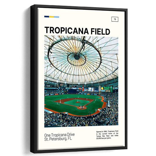 Tropicana Field Print, Tampa Bay Rays Stadium Canvas Art, Man Cave Gift, Floating Framed Canvas Print Wall Art