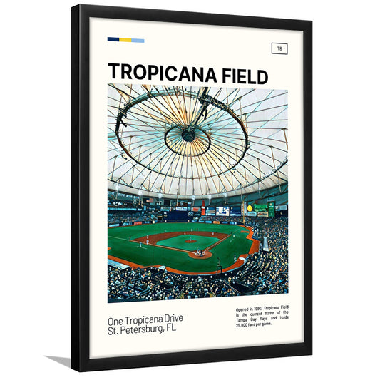 Tropicana Field Print, Tampa Bay Rays Stadium Art, Gifts for him, Sport Art, Framed Art Print Wall Decor