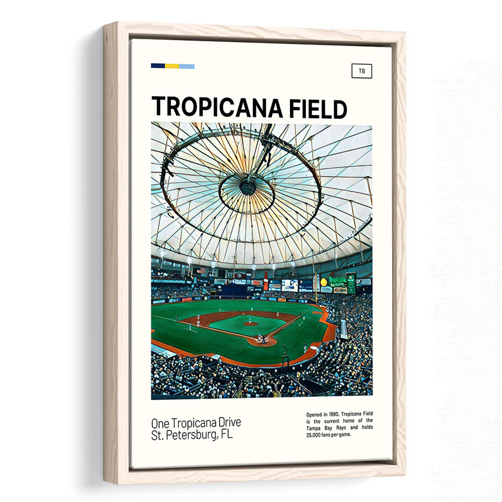 Tropicana Field Print, Tampa Bay Rays Stadium Canvas Art, Man Cave Gift, Floating Framed Canvas Print Wall Art