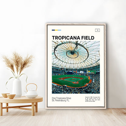 Tropicana Field Print, Tampa Bay Rays Stadium Canvas Art, Man Cave Gift, Floating Framed Canvas Print Wall Art