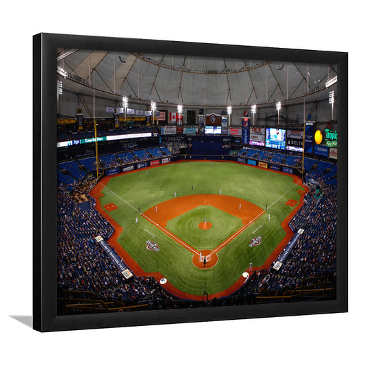 Tropicana Field, Stadium Canvas, Sport Art, Gift for him, Framed Art Print Wall Decor, Picture Framed