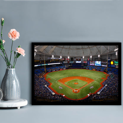 Tropicana Field, Stadium Canvas, Sport Art, Gift for him, Framed Art Print Wall Decor, Picture Framed