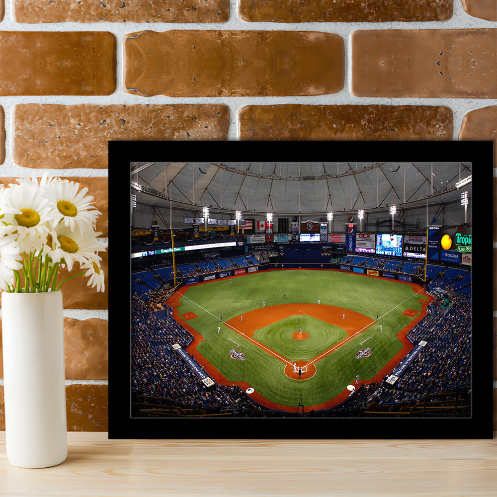 Tropicana Field, Stadium Canvas, Sport Art, Gift for him, Framed Art Print Wall Decor, Picture Framed