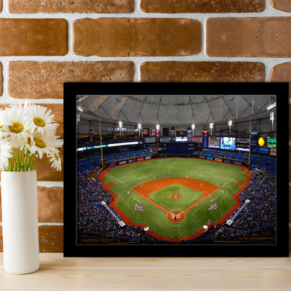 Tropicana Field, Stadium Canvas, Sport Art, Gift for him, Framed Art Print Wall Decor, Picture Framed