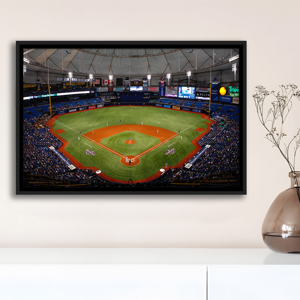 Tropicana Field, Stadium Canvas, Sport Art, Framed Canvas Print Wall Art, Floating Frame