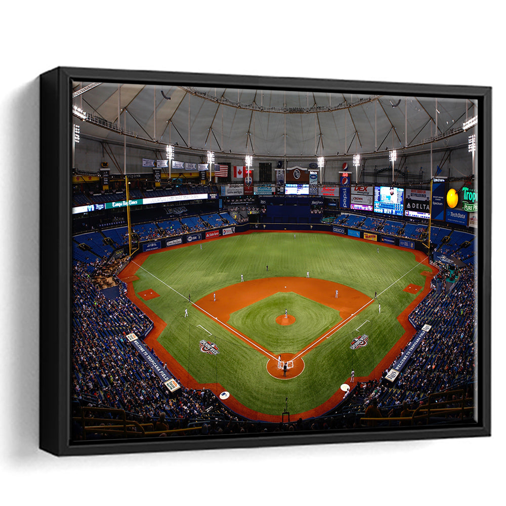 Tropicana Field, Stadium Canvas, Sport Art, Framed Canvas Print Wall Art, Floating Frame