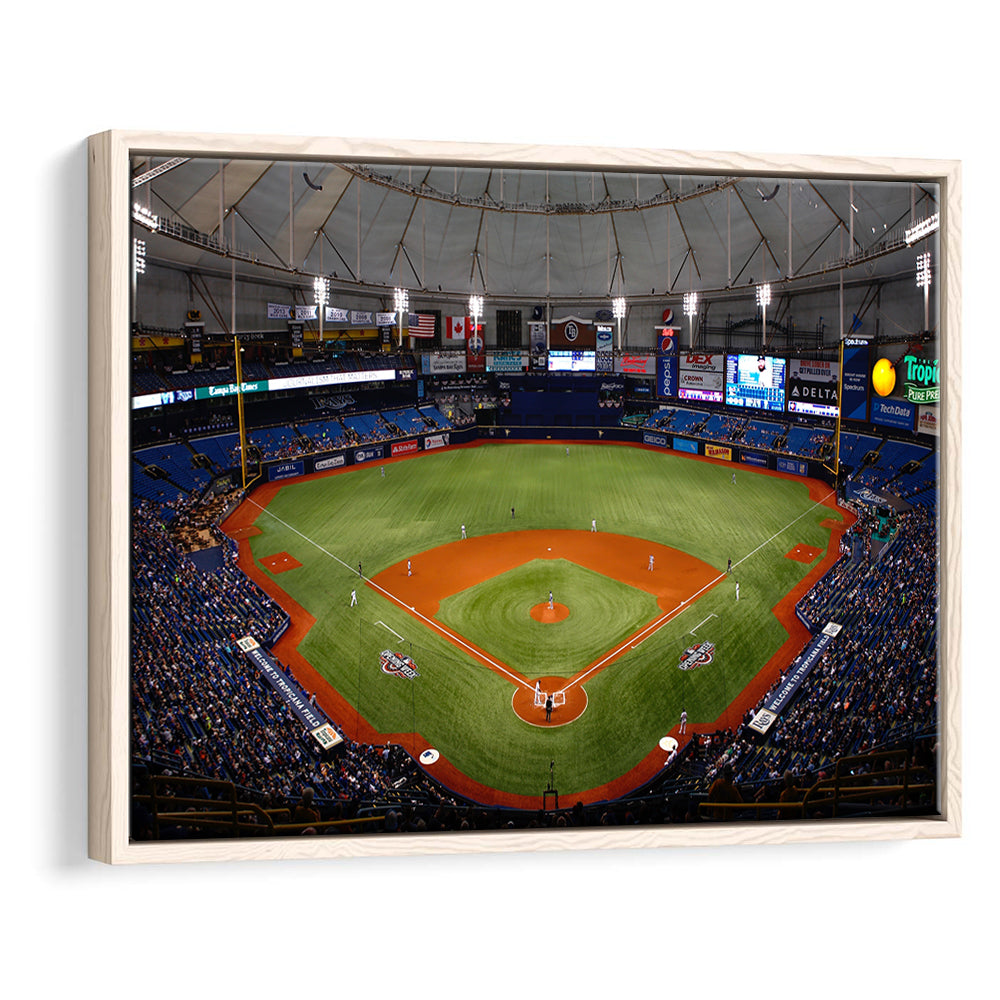 Tropicana Field, Stadium Canvas, Sport Art, Framed Canvas Print Wall Art, Floating Frame