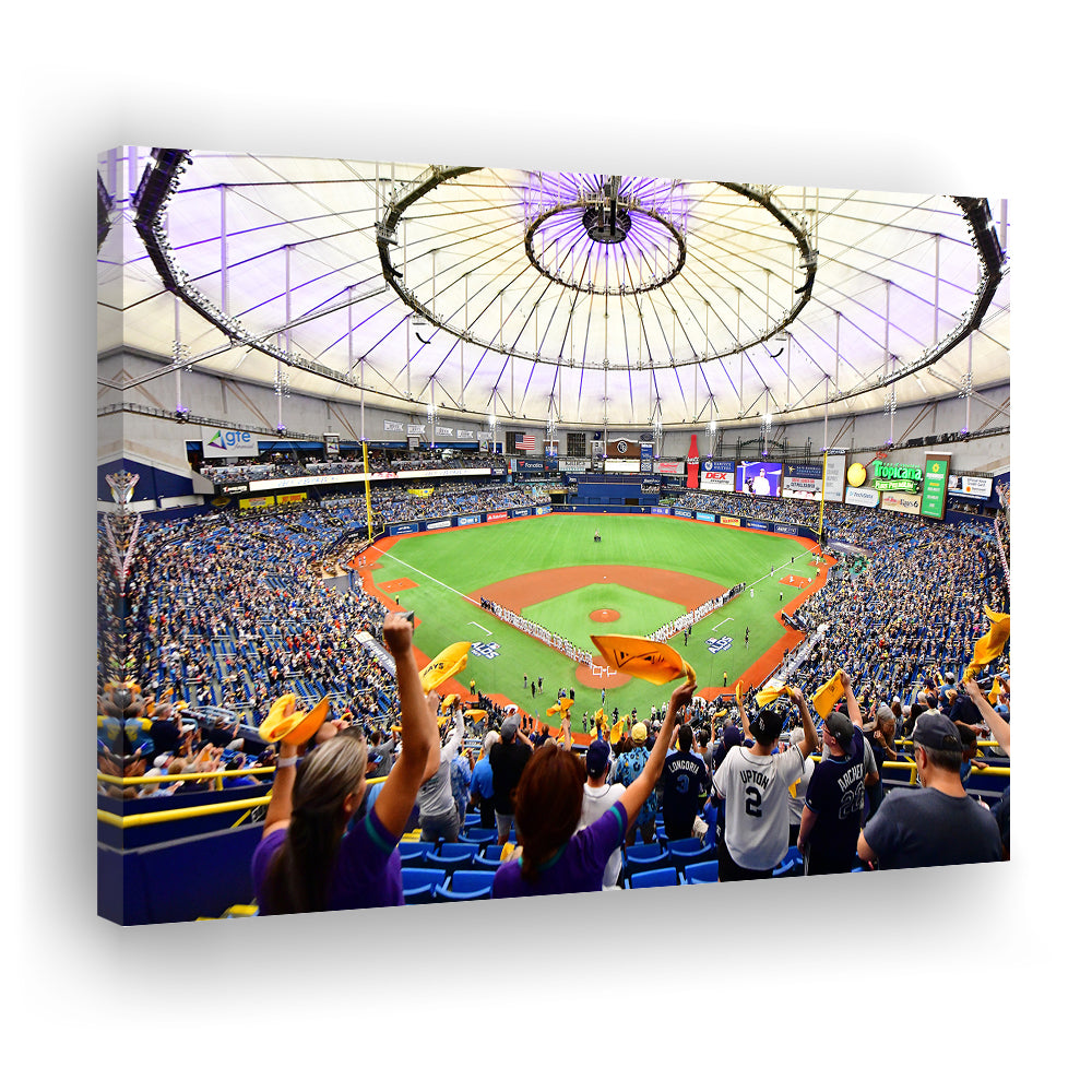 Tropicana Field Stadium, Stadium Canvas, Sport Art, Gift for him, Man Cave Decor, Art Print, Canvas Print Wall Art