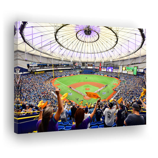Tropicana Field Stadium, Stadium Canvas, Sport Art, Gift for him, Man Cave Decor, Art Print, Canvas Print Wall Art