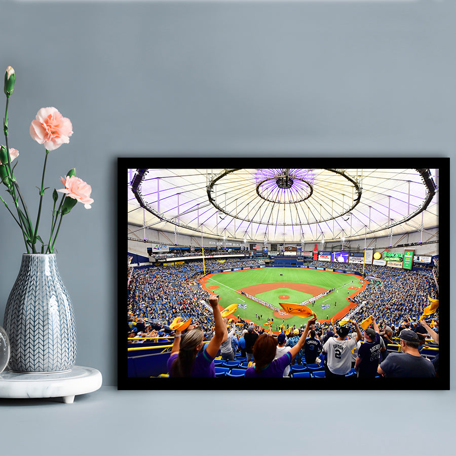 Tropicana Field Stadium, Stadium Canvas, Sport Art, Gift for him, Framed Art Print Wall Decor, Picture Framed