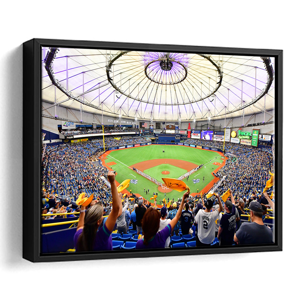 Tropicana Field Stadium, Stadium Canvas, Sport Art, Framed Canvas Print Wall Art, Floating Frame