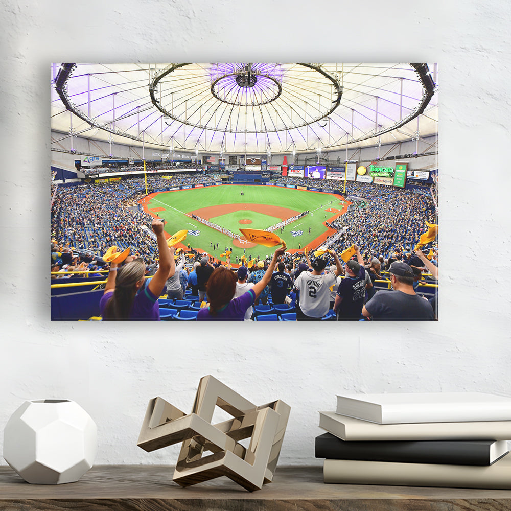 Tropicana Field Stadium, Stadium Canvas, Sport Art, Gift for him, Man Cave Decor, Art Print, Canvas Print Wall Art