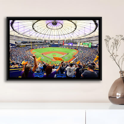 Tropicana Field Stadium, Stadium Canvas, Sport Art, Framed Canvas Print Wall Art, Floating Frame