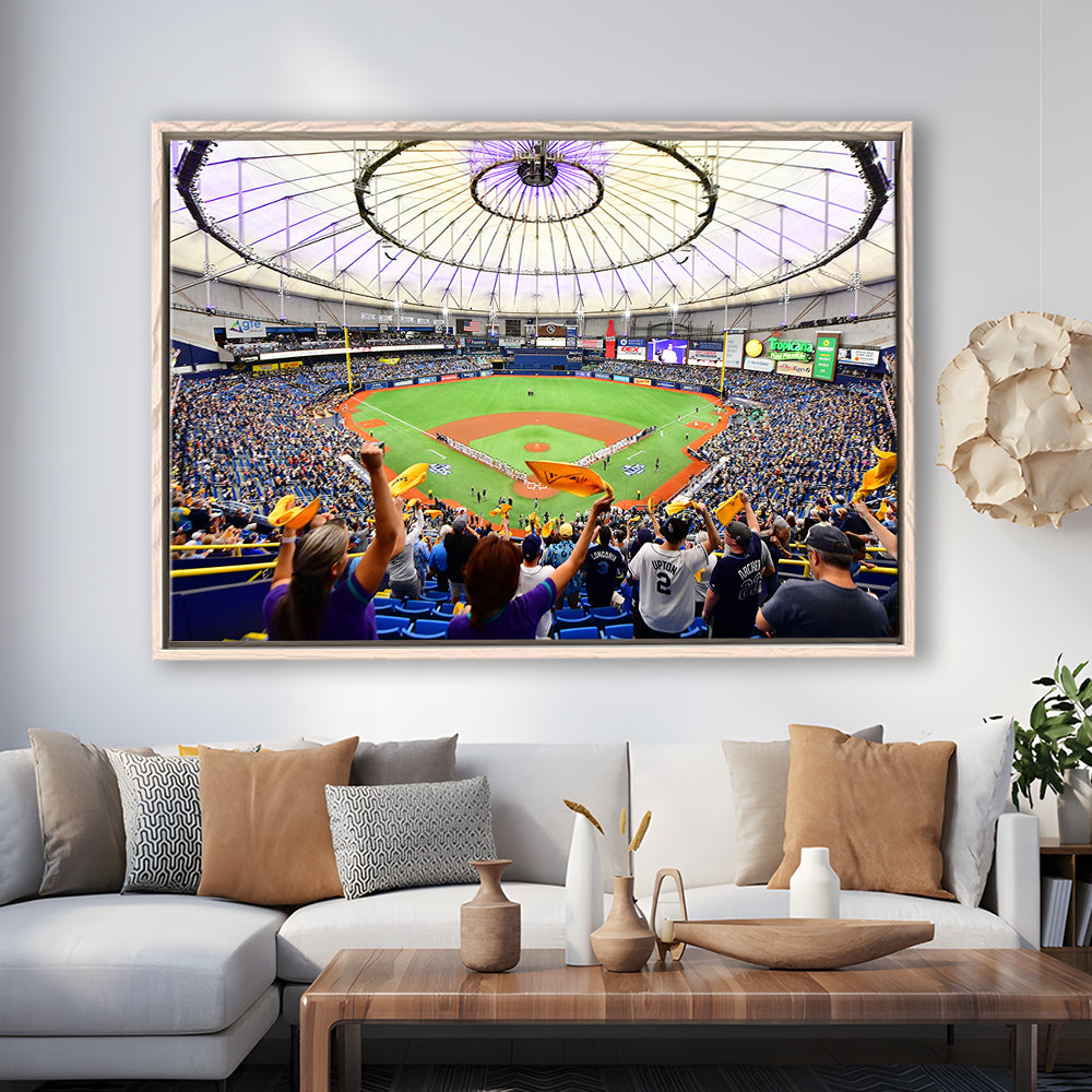 Tropicana Field Stadium, Stadium Canvas, Sport Art, Framed Canvas Print Wall Art, Floating Frame