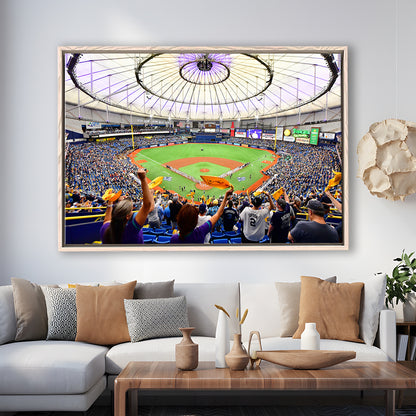 Tropicana Field Stadium, Stadium Canvas, Sport Art, Framed Canvas Print Wall Art, Floating Frame
