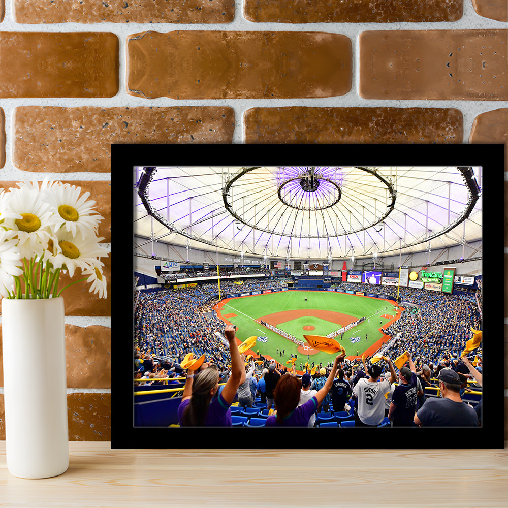 Tropicana Field Stadium, Stadium Canvas, Sport Art, Gift for him, Framed Art Print Wall Decor, Picture Framed