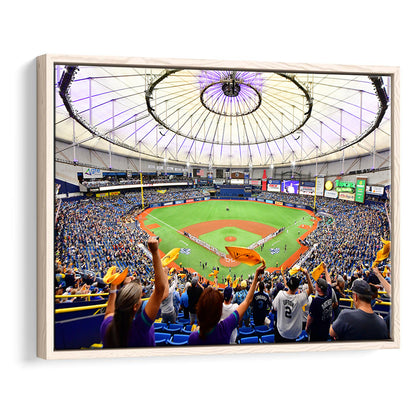 Tropicana Field Stadium, Stadium Canvas, Sport Art, Framed Canvas Print Wall Art, Floating Frame