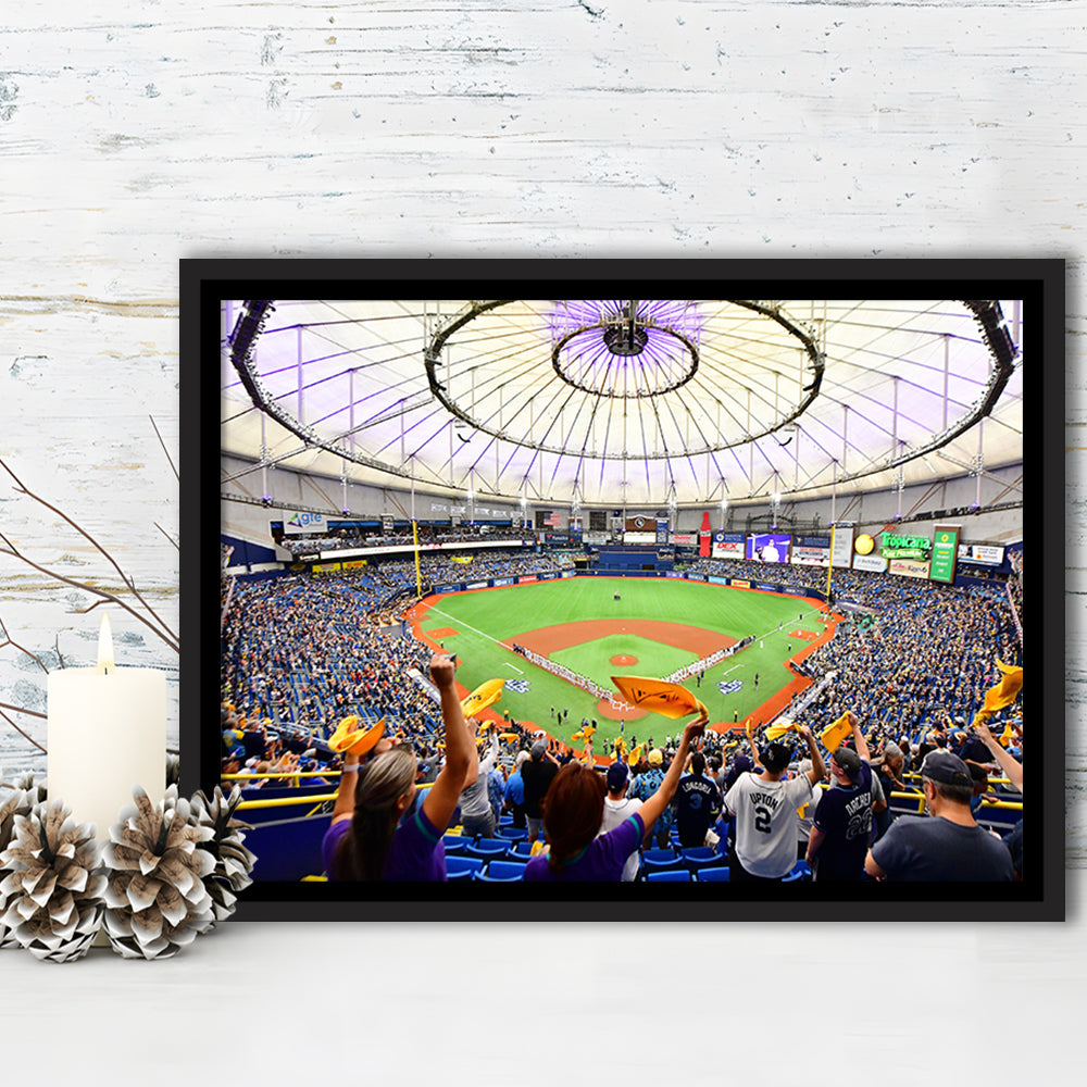 Tropicana Field Stadium, Stadium Canvas, Sport Art, Framed Canvas Print Wall Art, Floating Frame