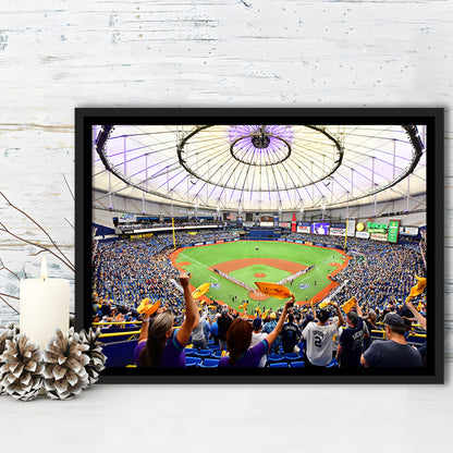 Tropicana Field Stadium, Stadium Canvas, Sport Art, Framed Canvas Print Wall Art, Floating Frame