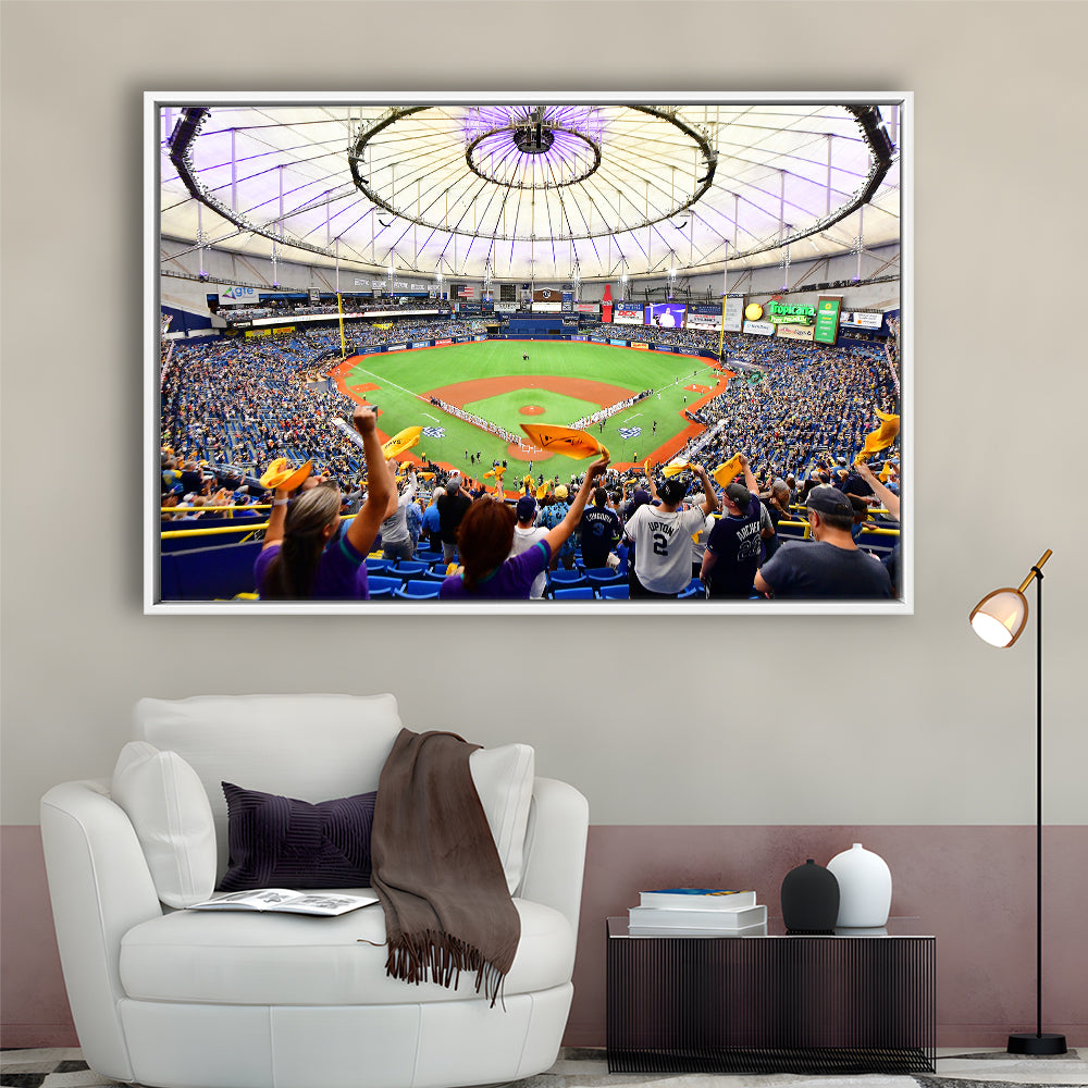Tropicana Field Stadium, Stadium Canvas, Sport Art, Framed Canvas Print Wall Art, Floating Frame