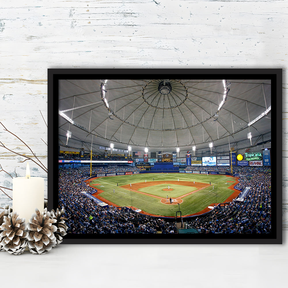 Tropicana Field in Florida, Stadium Canvas, Sport Art, Framed Canvas Print Wall Art, Floating Frame
