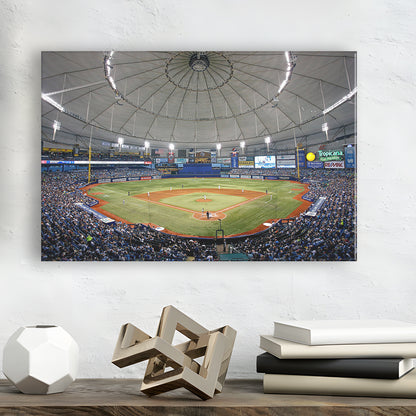 Tropicana Field in Florida, Stadium Canvas, Sport Art, Gift for him, Man Cave Decor, Art Print, Canvas Print Wall Art