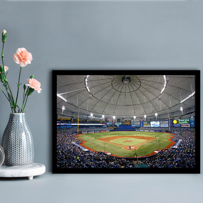 Tropicana Field in Florida, Stadium Canvas, Sport Art, Gift for him, Framed Art Print Wall Decor, Picture Framed