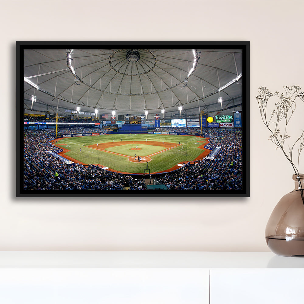 Tropicana Field in Florida, Stadium Canvas, Sport Art, Framed Canvas Print Wall Art, Floating Frame