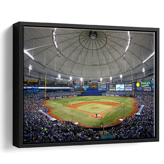 Tropicana Field in Florida, Stadium Canvas, Sport Art, Framed Canvas Print Wall Art, Floating Frame